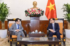 Minister of Foreign Affairs Bui Thanh Son (R) and Tokai Kisaburo, member of the House of Representative and Chairperson of the Policy Research Council under the Liberal Democratic Party of Japan. (Photo: VNA)