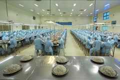Illustrative image (Photo: VNA)