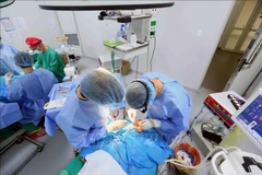 Doctors perform surgeries to reshape lips, rebuild palates, and restore lips to give patients a new facial appearance. (Photo: VNA)