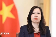 Deputy Minister of Foreign Affairs Le Thi Thu Hang. (Photo: VNA)