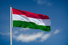 The flag of Hungary. Photo: VNA