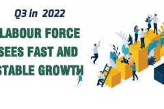 Labour force sees fast and stable growth