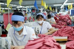 Binh Phuoc province sets up Japan working group to help with investment attraction