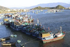 Ninh Thuan reports 7.4% increase in seafood catch in H1