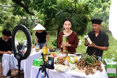 Hung Yen products find way to outside markets through TikTok