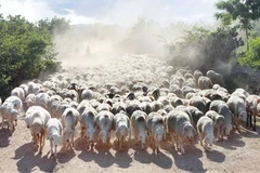 Multidimensional poverty measurement project gets the go-ahead