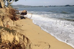 Sand overexploitation, deforestation worsen coastal erosion: expert