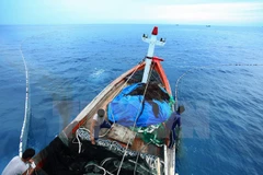 Fisheries trade union objects to China’s attacks on Vietnamese ships