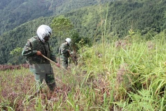 Project launched to clear unexploded ordnances in Ha Tinh
