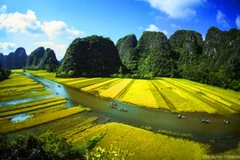 Vietnam's landscapes to appear on UK TV