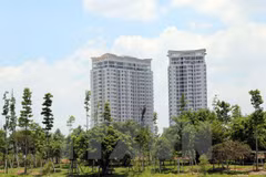 Binh Duong economy grows fastest in three years