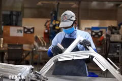 A factory of a foreign invested company in Dong Nai province (Photo: VNA)