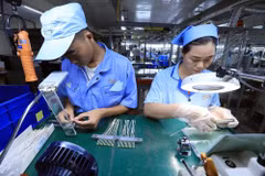 Electronics export bounces back impressively