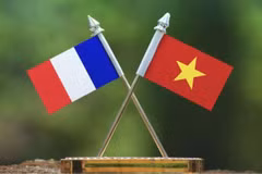 The national flags of Vietnam and France (Illustrative photo)