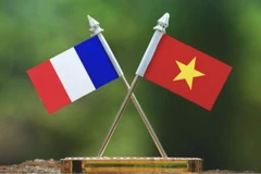 The national flags of Vietnam and France (Illustrative photo)
