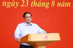 PM Pham Minh Chinh addresses the third meeting of the 14th National Party Congress's sub-committee for socioeconomic affairs on August 23. (Photo: VNA)