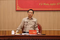 Deputy Prime Minister Tran Hong Ha speaks at the conference held in Ca Mau province on October 17. (Photo: VNA)