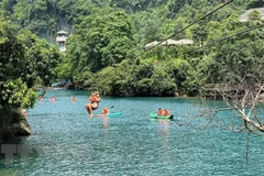 Quang Binh promotes heritage of Phong Nha-Ke Bang National Park