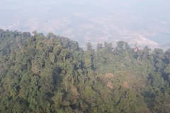 Forest worshiping - Vow to protect forests by ethnic groups