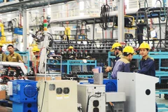 Vietnam wants private sector to become driving force for economic growth