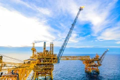Petrovietnam rolls out various growth solutions for H2