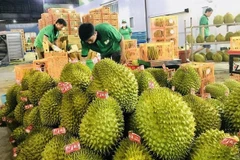 Veggie, fruit exports to China enjoy double-digit growth rate