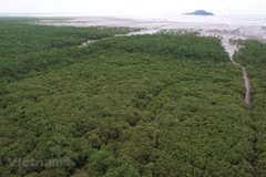 Carbon credit trading floor – key to Vietnam’s net zero goal 