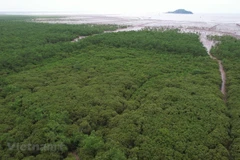 Carbon credit trading floor – key to Vietnam’s net zero goal 