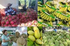 Agro-forestry-fishery exports down 22.5% in two first months