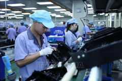 Hai Phong ensures high-quality human resources for businesses