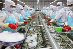 Ample room remains for food processing industry’s development