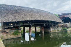 Impressive 700-year-old wooden bridge roofed with leaves