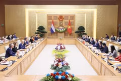 Vietnamese, Dutch PMs hold talks