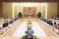 Vietnamese, Dutch PMs hold talks