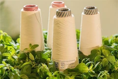 Garment sector must go green to ensure sustainable development