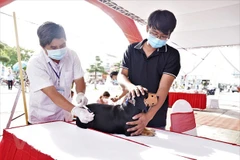 Vietnam striving to end rabies-caused deaths by 2030