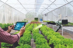 Phu Tho: digital transformation in agriculture – key to breakthrough