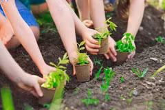 Joint efforts made to plant 1 billion trees by 2025