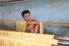 Visiting century-old tofu-skin craft village in Vinh Long