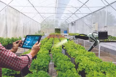 Phu Tho: digital transformation in agriculture – key to breakthrough