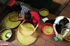 Hanoi – Heaven for foodies