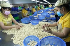 New records set in agricultural product export revenue
