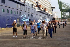 Vietnam taps potential to develop cruise tourism