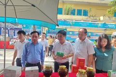 Hanoi promotes OCOP products, handicrafts