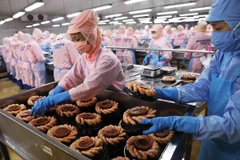 VIFTA – opportunity for Vietnamese goods to penetrate Israeli market
