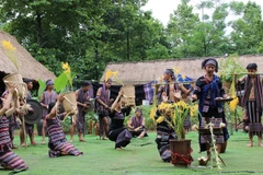 Vibrant activities at ethnic village in Hanoi throughout August