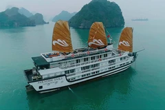 Vietnam focuses on developing cultural tourism