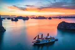 Google Doodle honours World Natural Heritage of Ha Long Bay