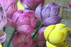 Ninh Binh developing ecotourism associated with lotus