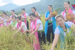 Young rice festival of Thai ethnics in Lai Chau province